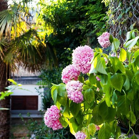 Little Fish Studio Rijeka Ngoại thất bức ảnh